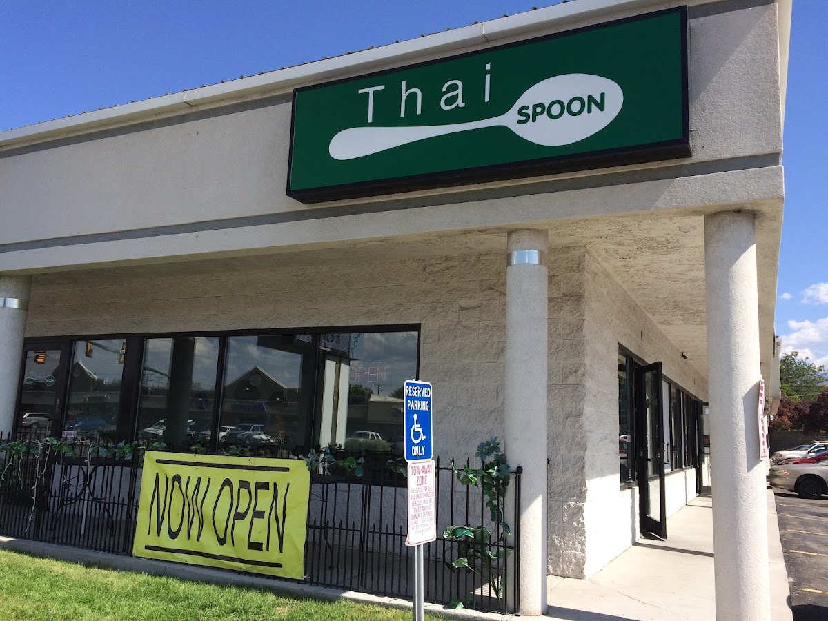 Thai Spoon